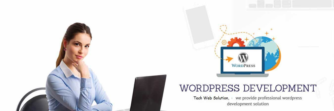 wordpress development banner
